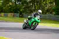 Lower Group Green Bikes